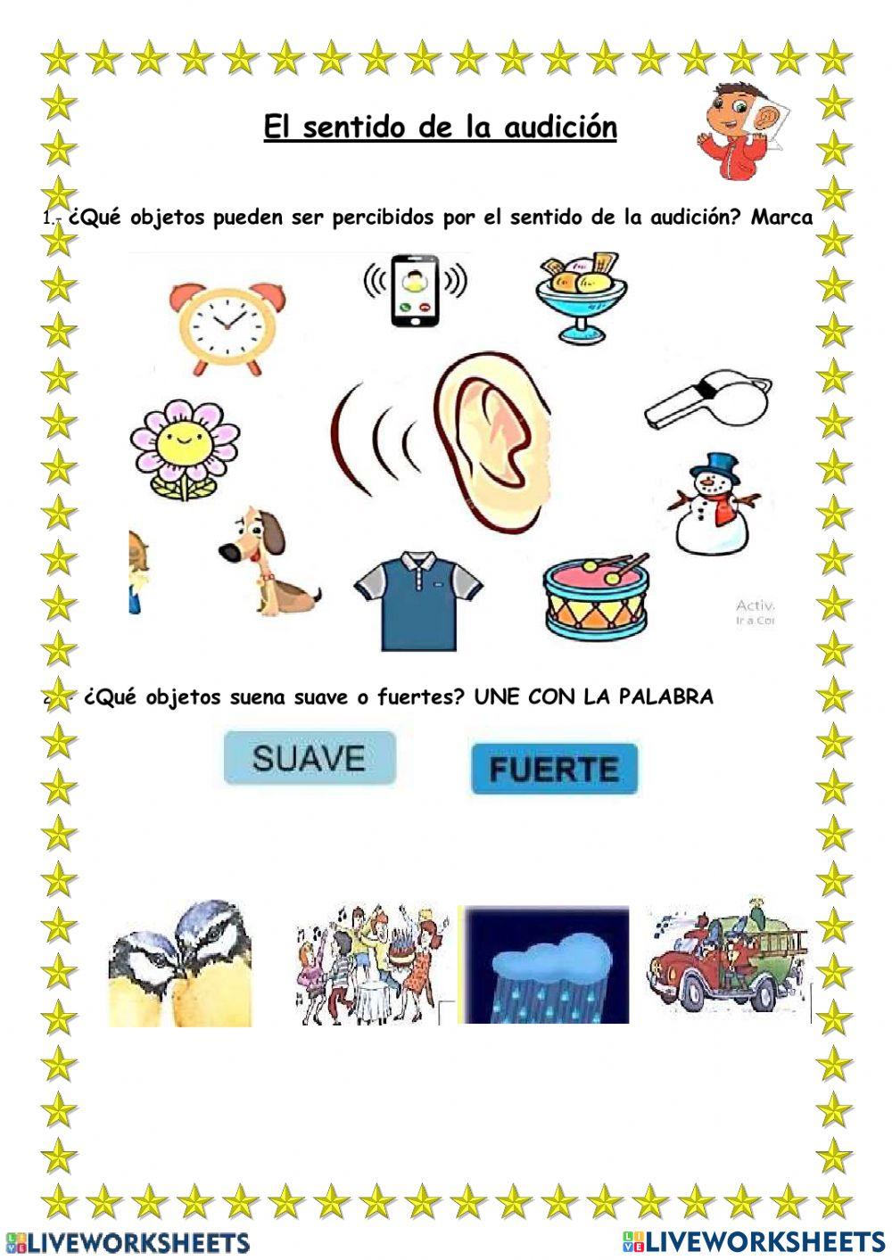 Sentido de la audicion