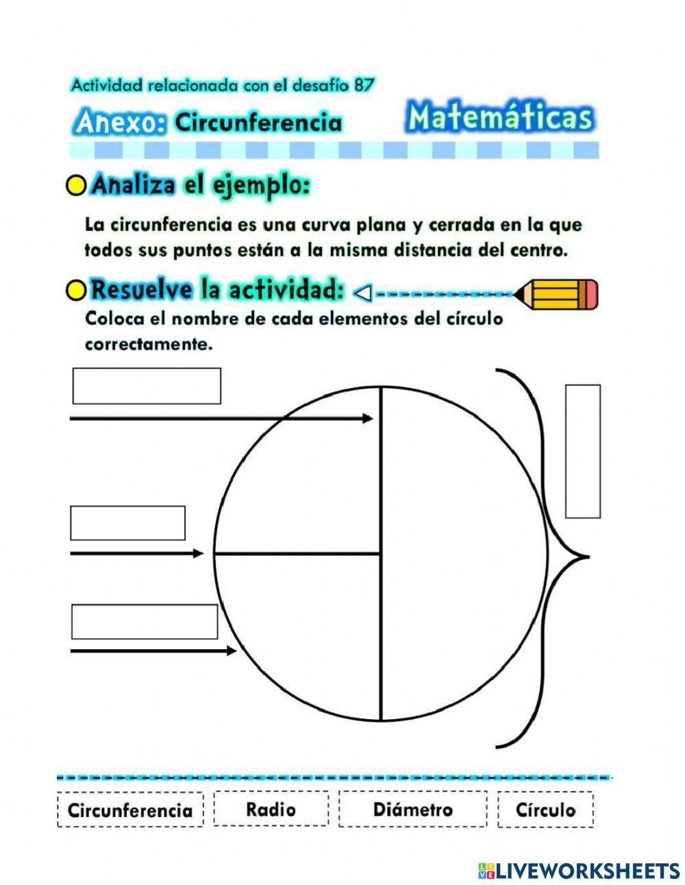 Partes de la circunferencia