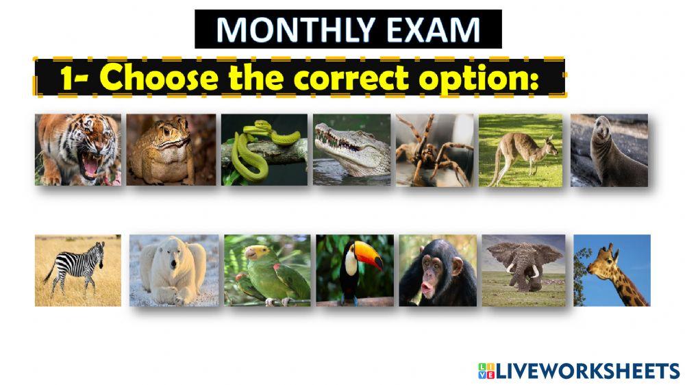 Comparative ans superlative sentences