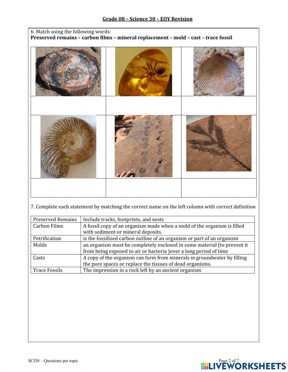 CluestoEarth'sPast worksheet | Live Worksheets cluestoearth-spast-worksheet-live-worksheets