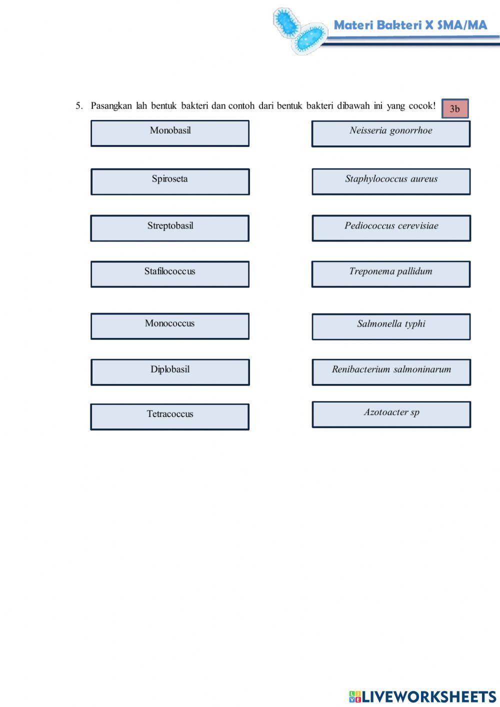 Tes Formatif Modul Materi Bakteri Pertemuan 2