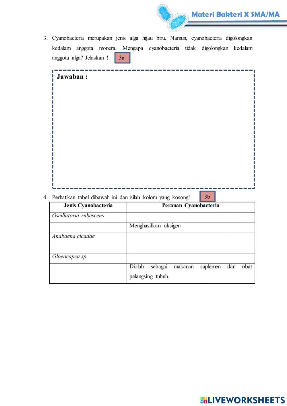 Tes Formatif Modul Materi Bakteri Pertemuan 3