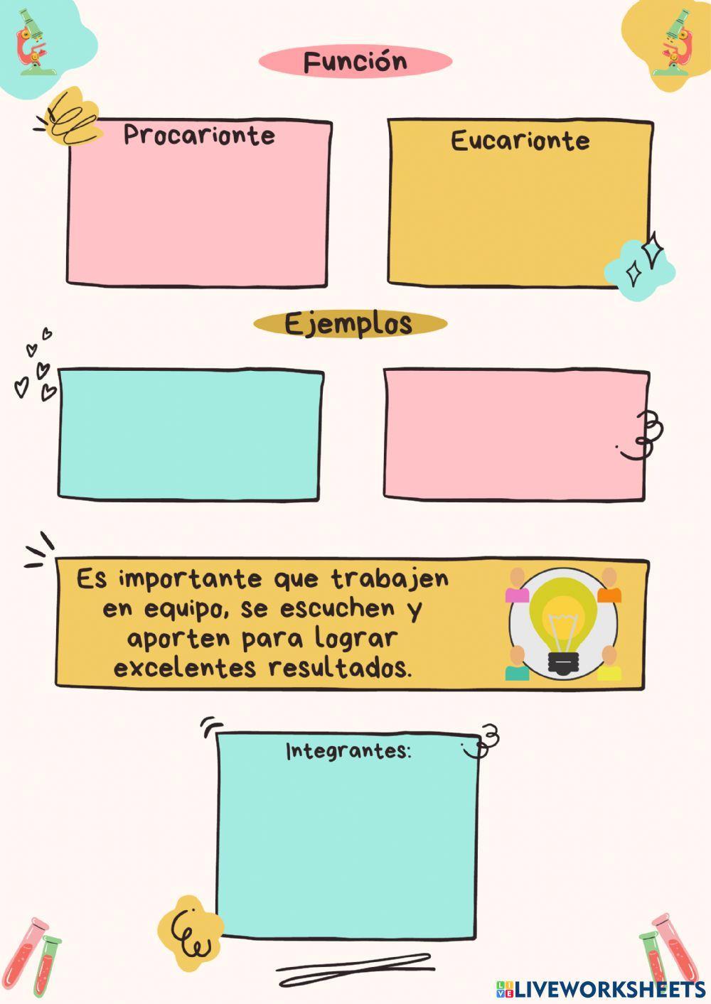 Célula procariota y eucariota