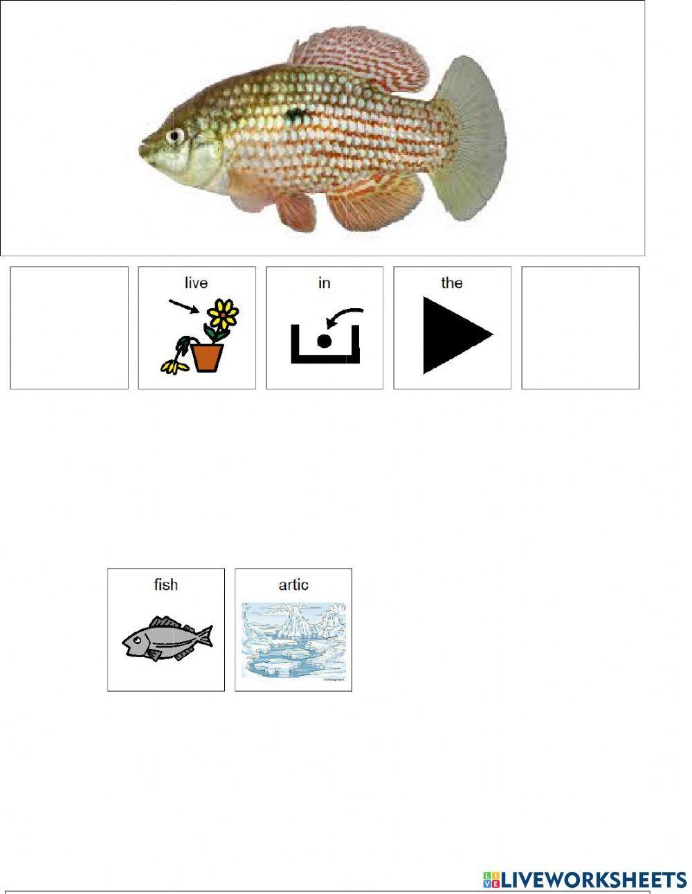 Animal Habitats (Artic) Animal Habitats (Artic)