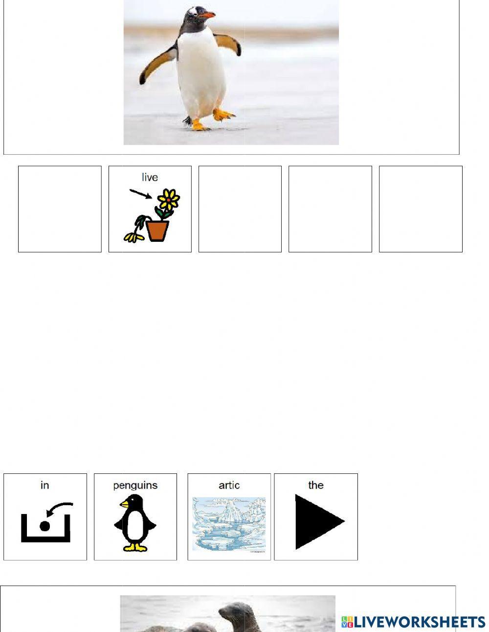 Animal Habitats (Artic) Animal Habitats (Artic)
