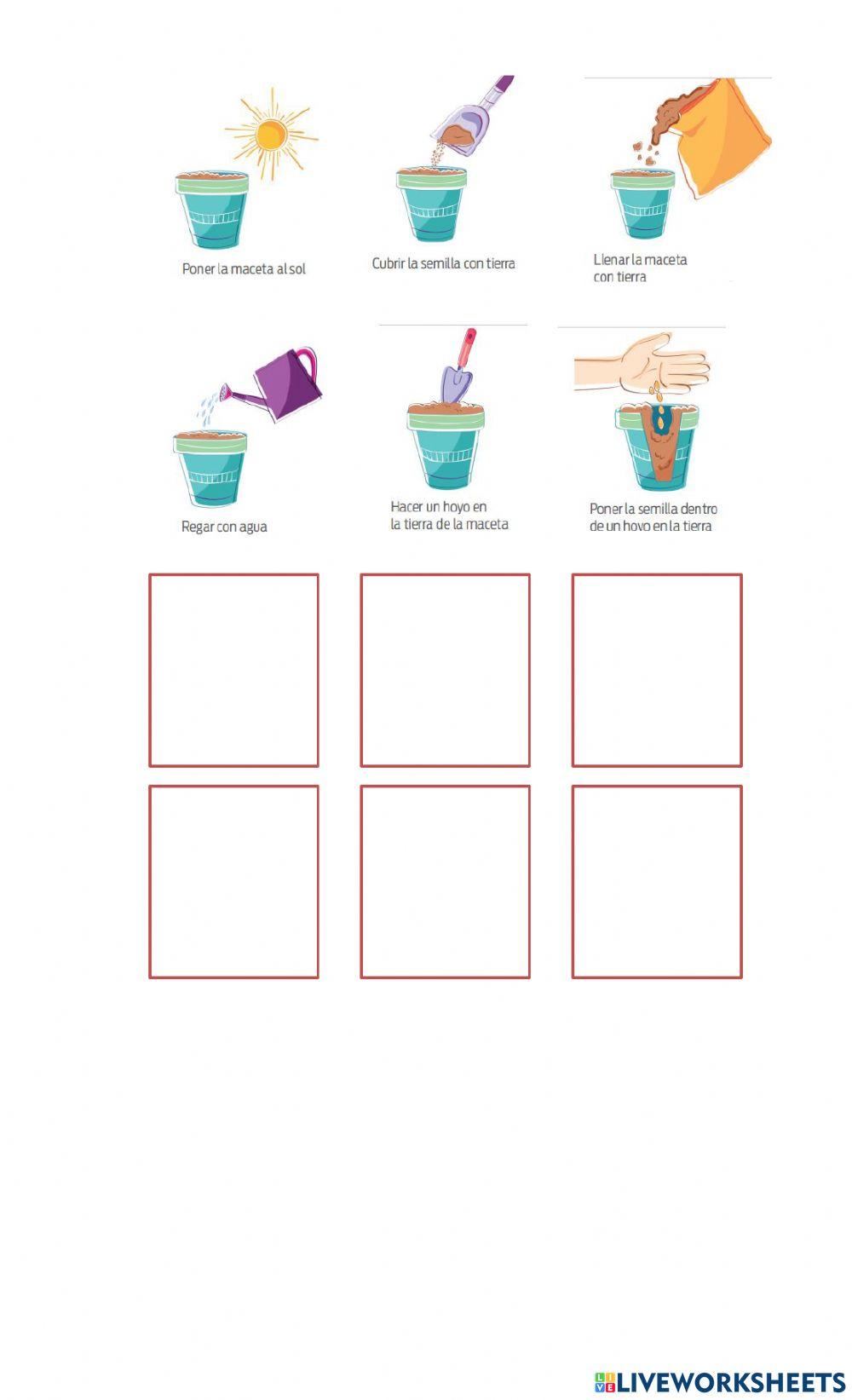 Algoritmos. Recuperando ideas.