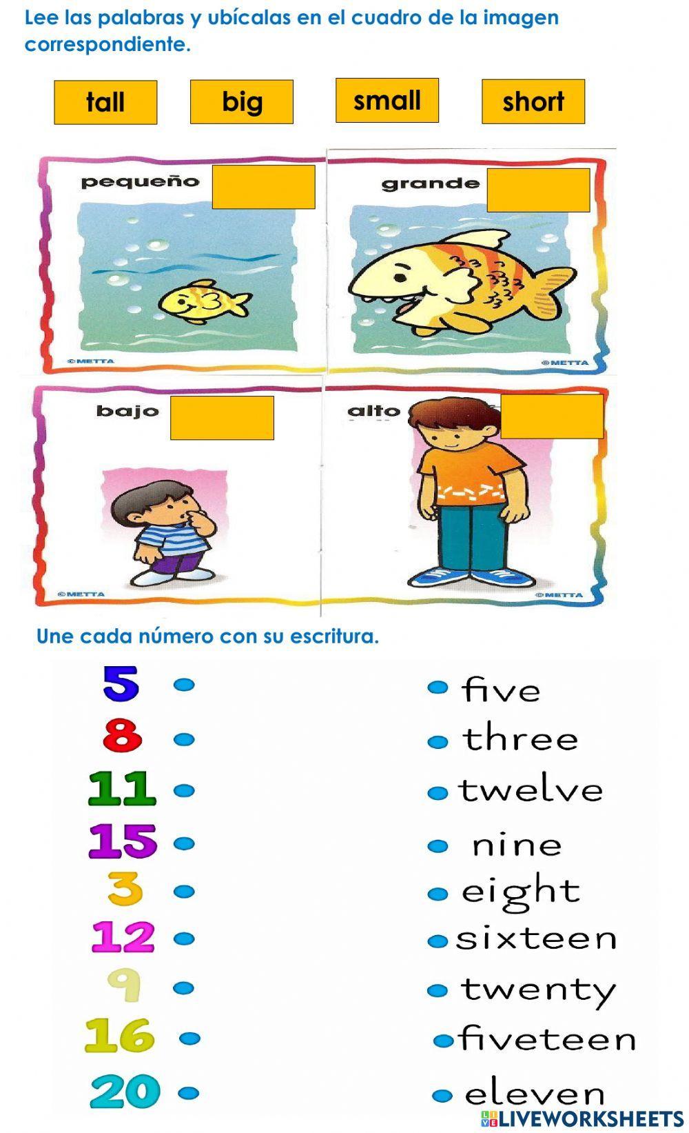 Taller inglés