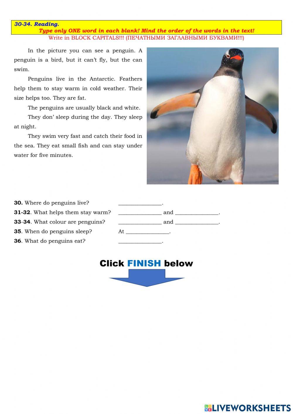 Spotlight 5 Task 5576