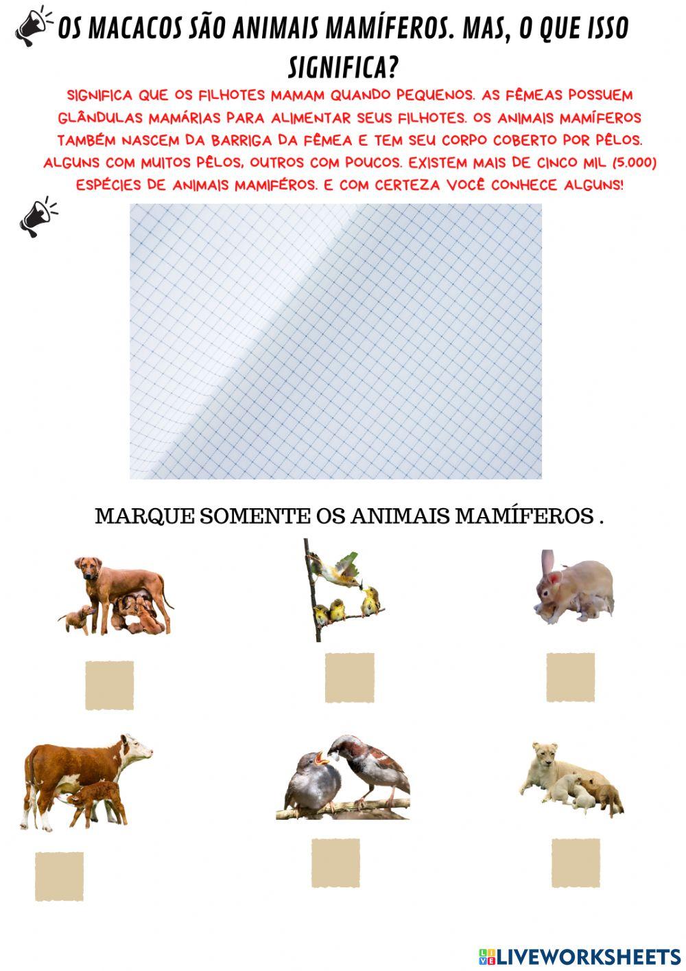 Conhecendo os macacos