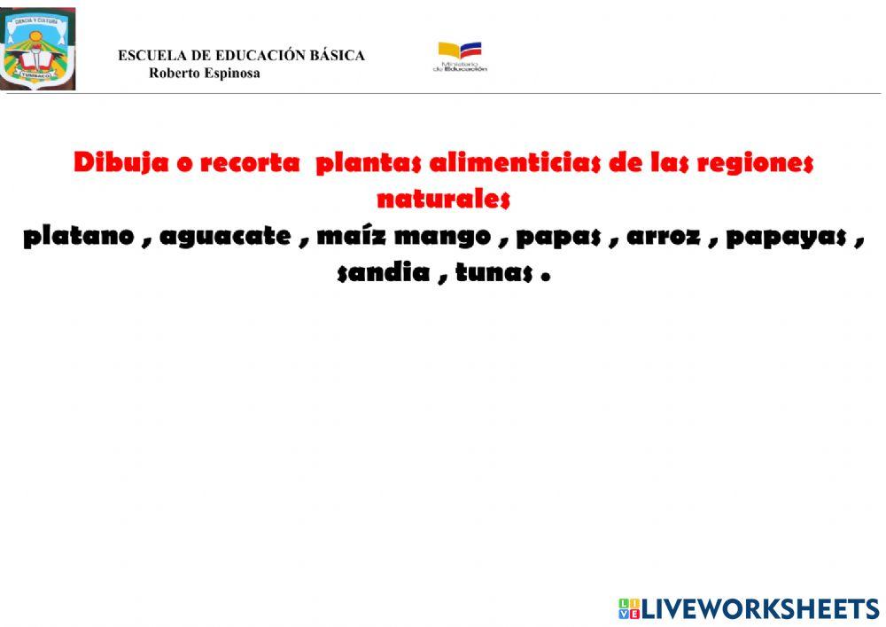 Adaptacion grado tres