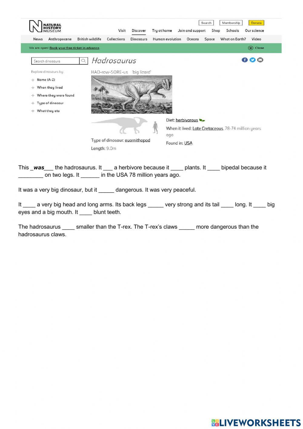 Describing dinosaurs