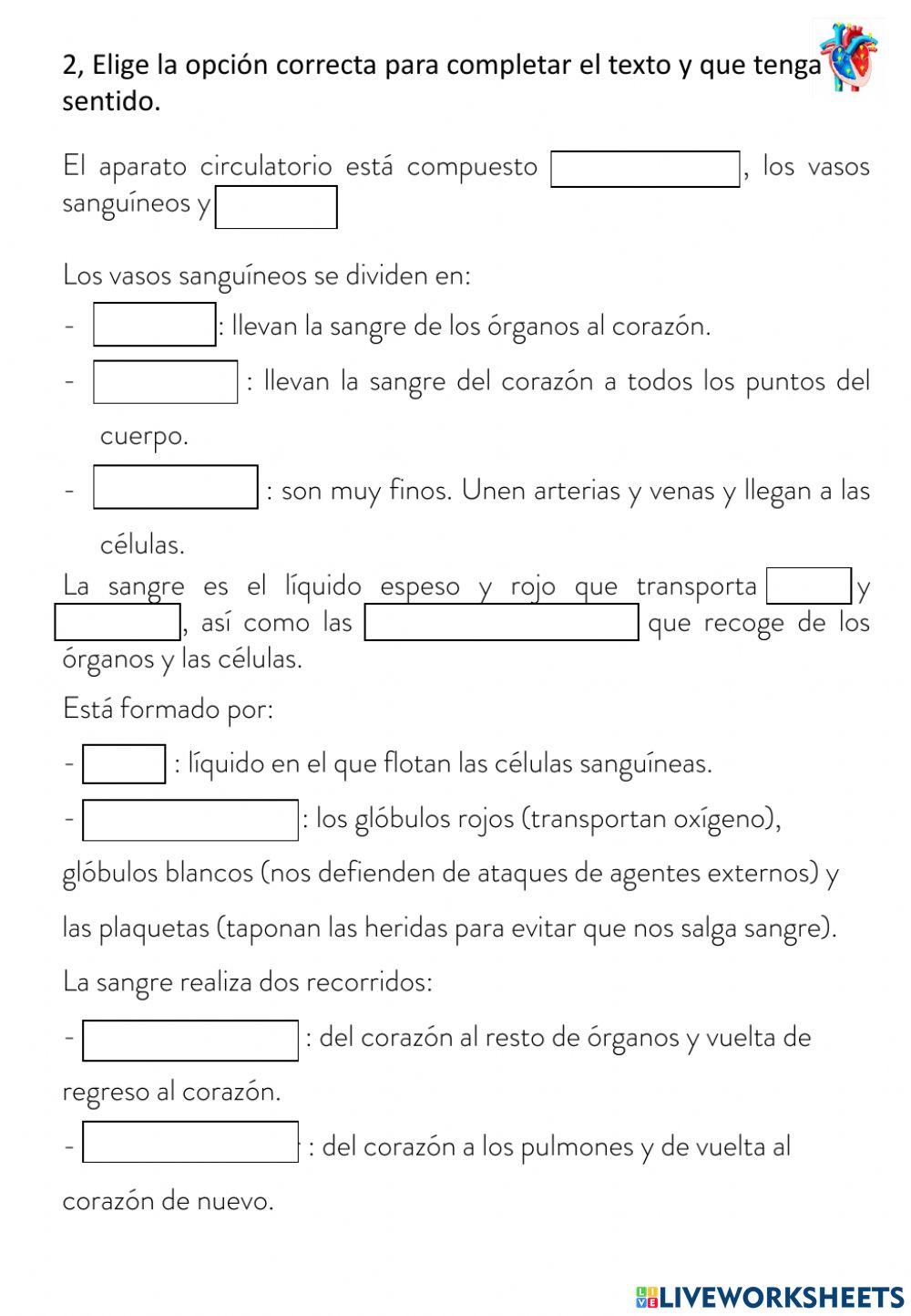 Aparatos respiratoria, digestivo y circulatorio.