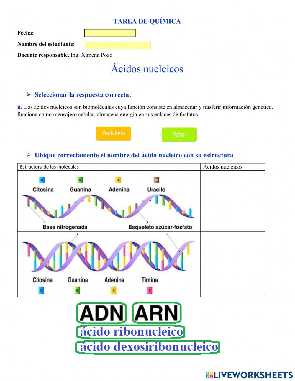 Ácidos nucleicos