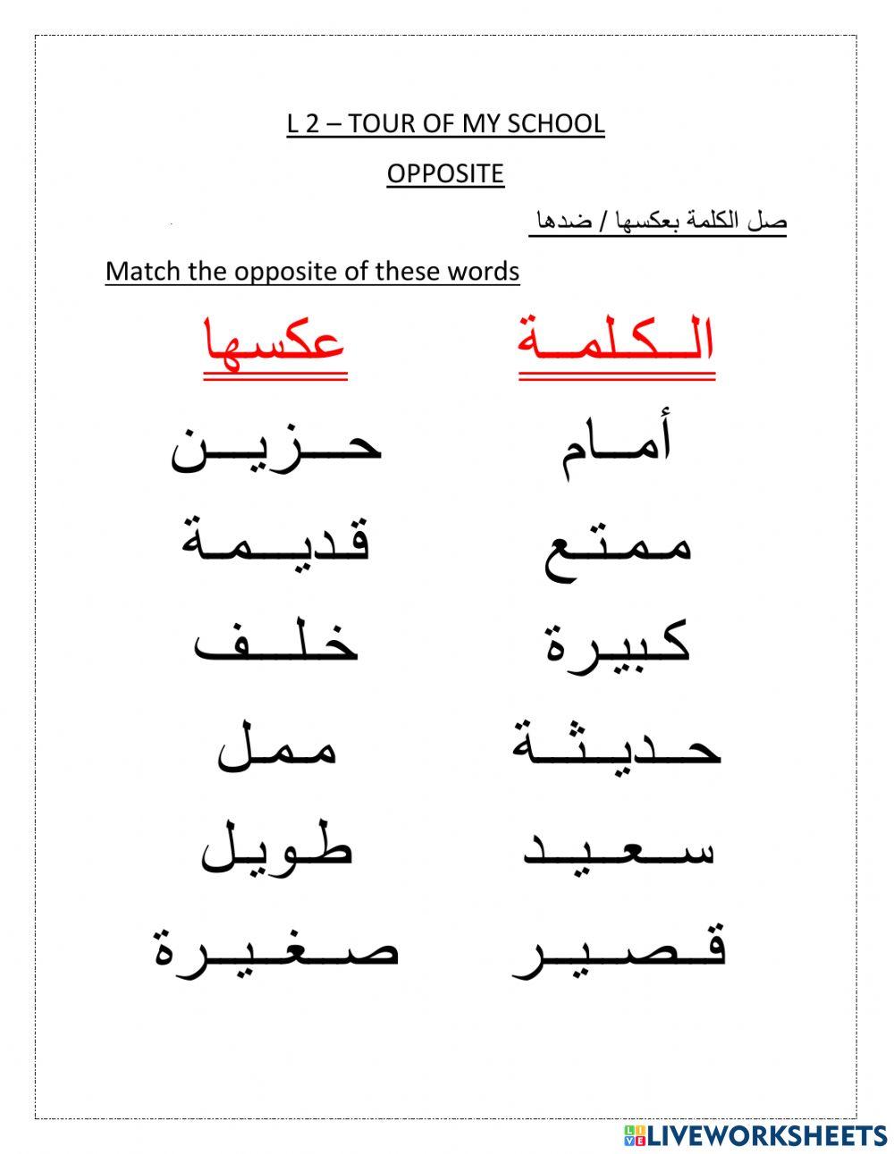 جولة في مدرستي