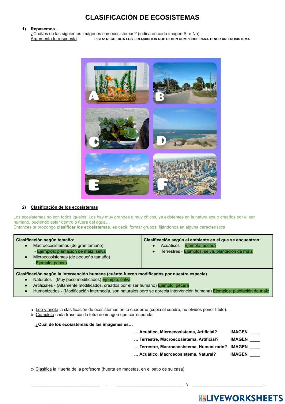 Clasificación de ecosistemas