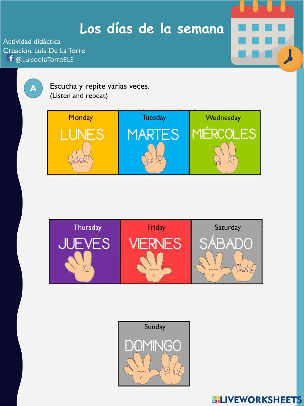 Los días de la semana interactive worksheet for K 8th Live Worksheets