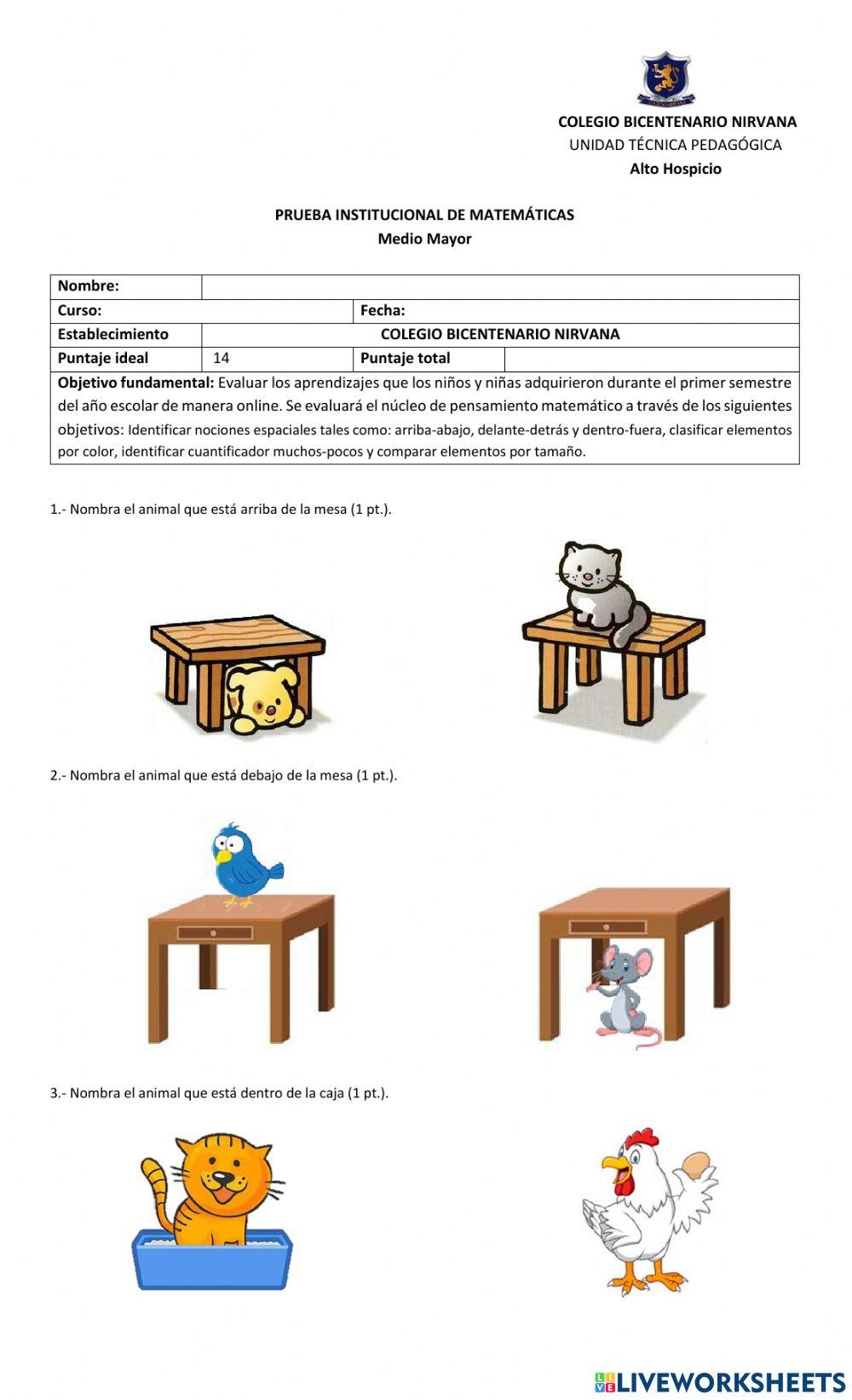 Evaluación institucional pensamiento matemático MM