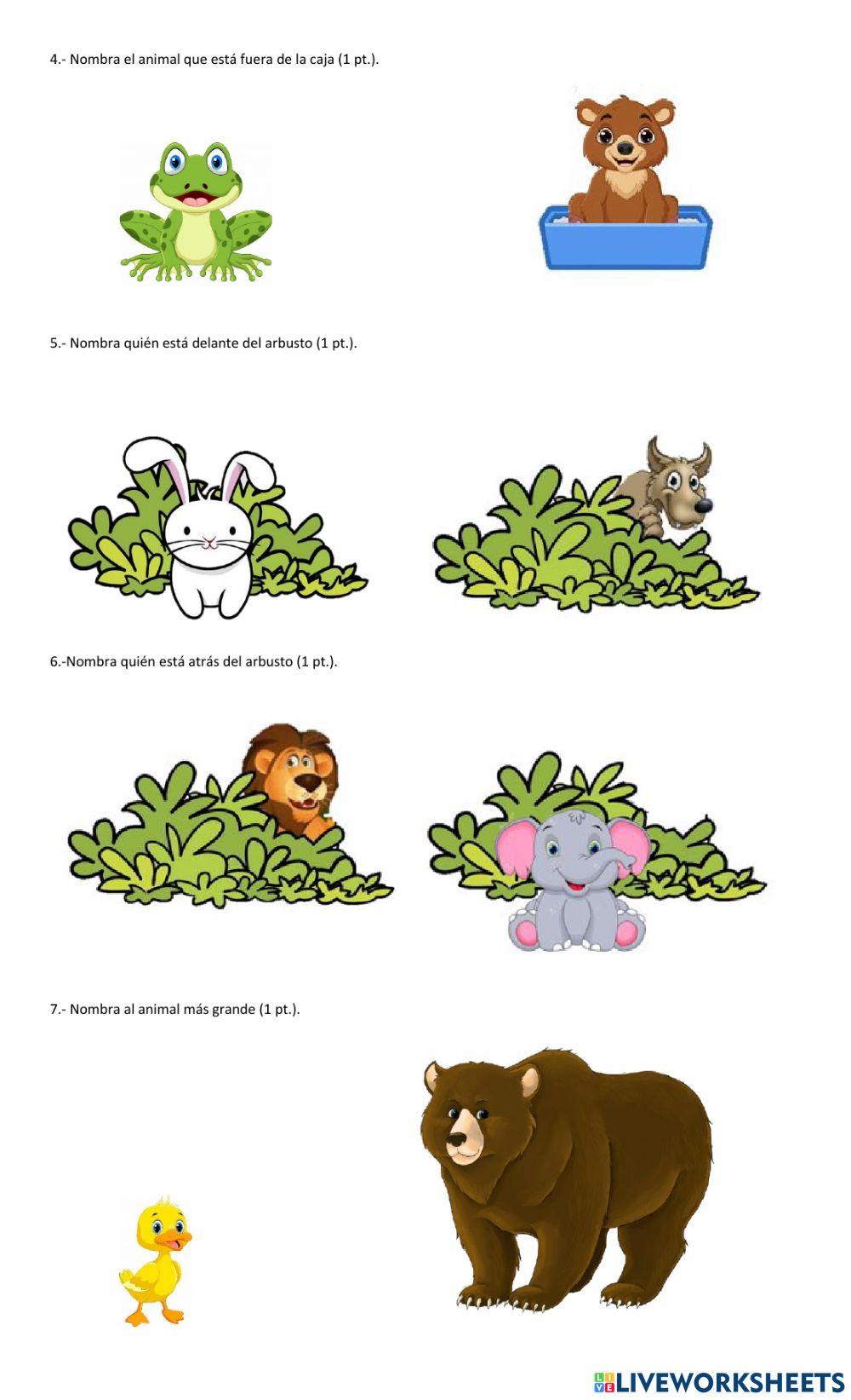 Evaluación institucional pensamiento matemático MM