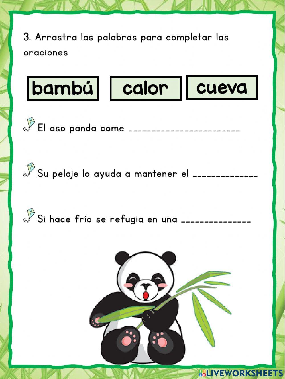 Lectura de comprension: el oso panda