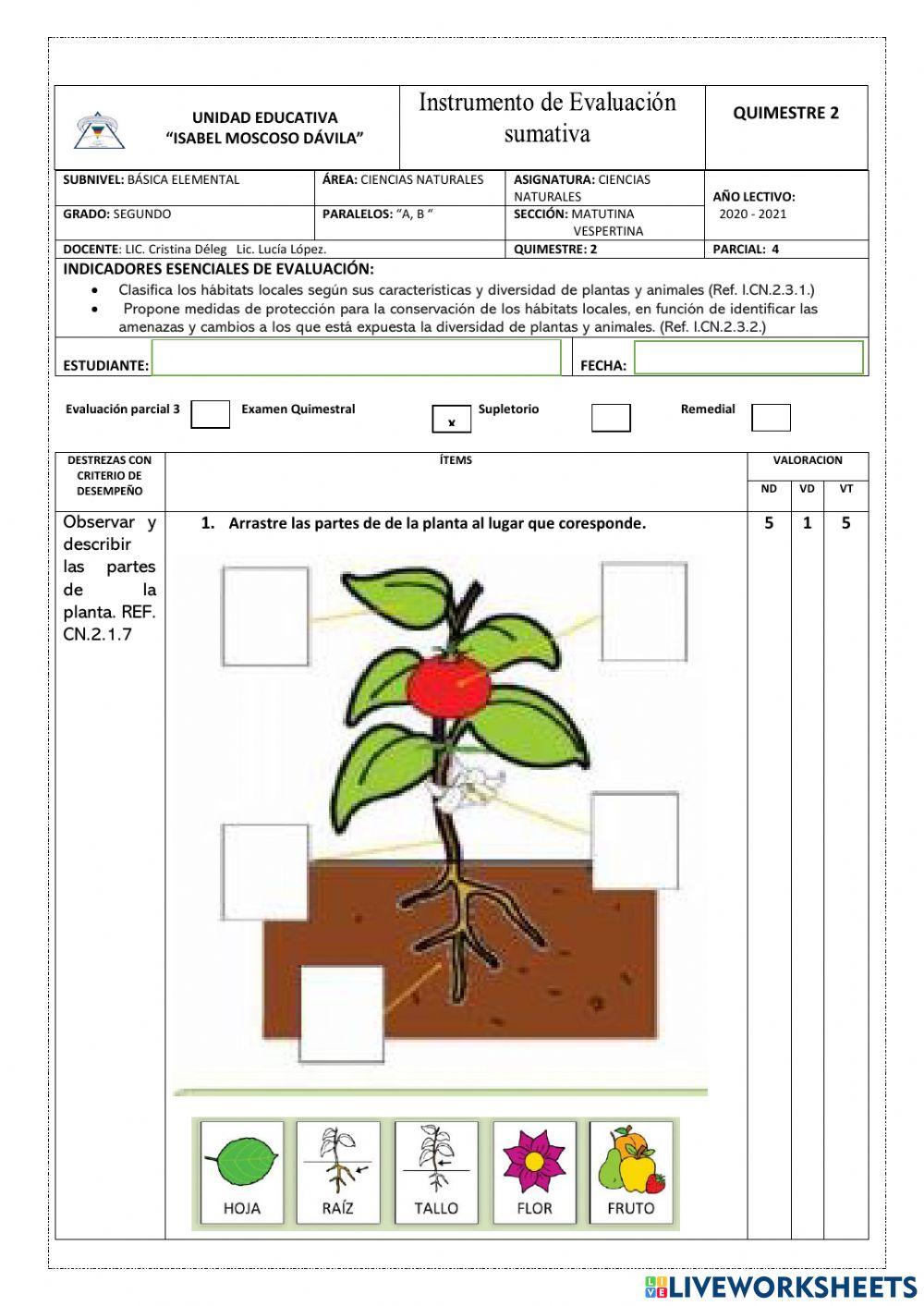 Evaluación segundo quimestre