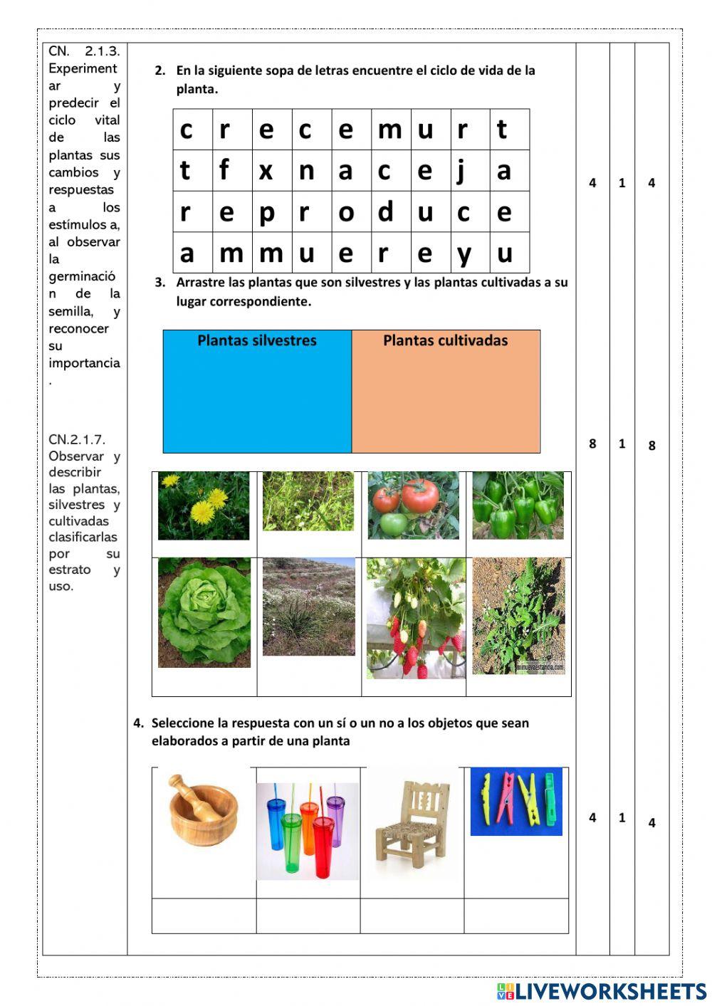 Evaluación segundo quimestre