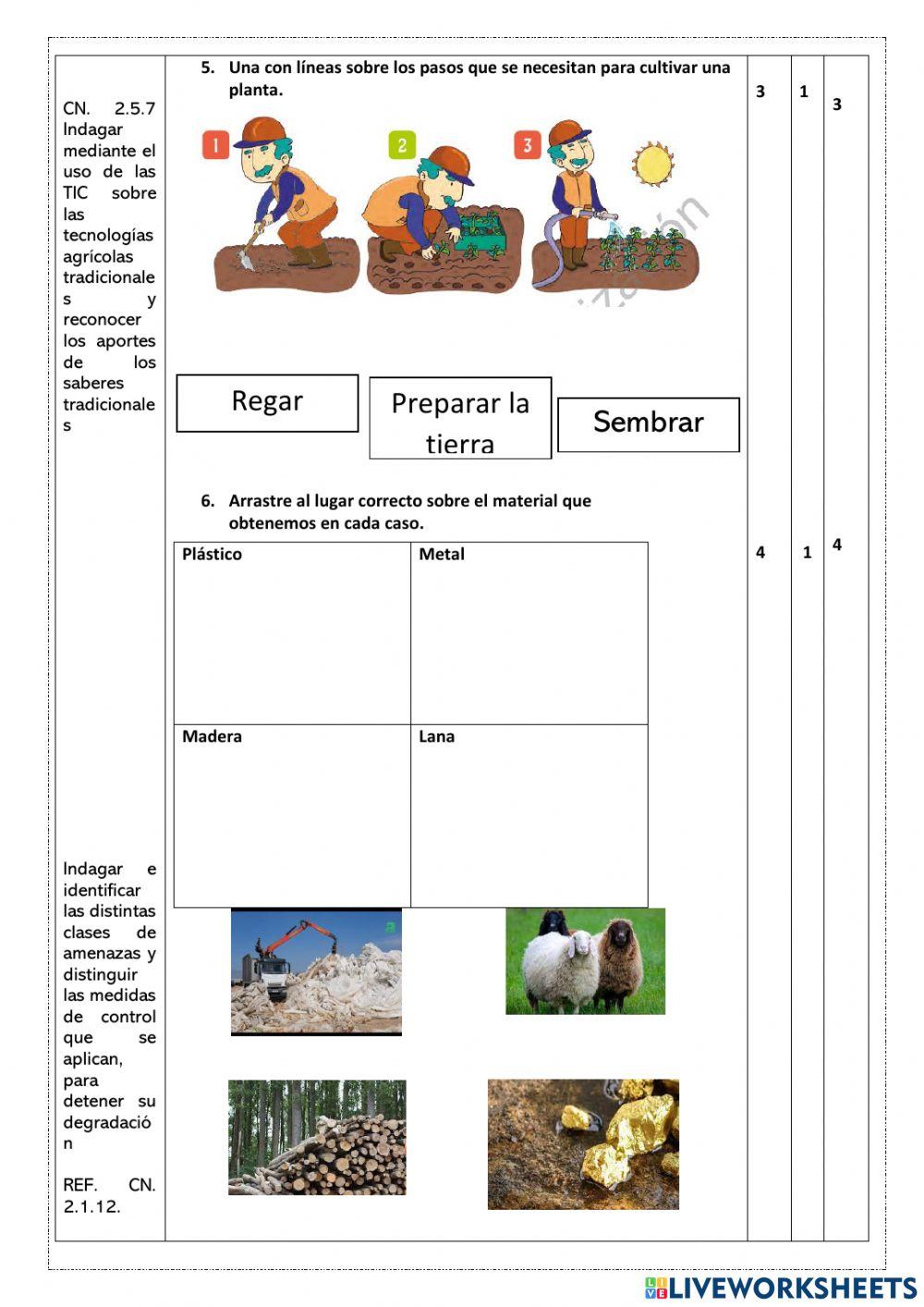 Evaluación segundo quimestre