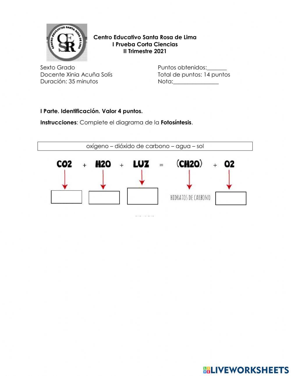Prueba corta no.1-6grado II Tri