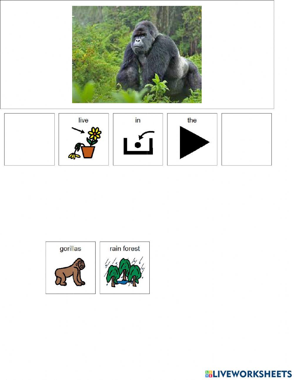 Animal Habitats (Rainforest) Animal Habitats (Rainforest)