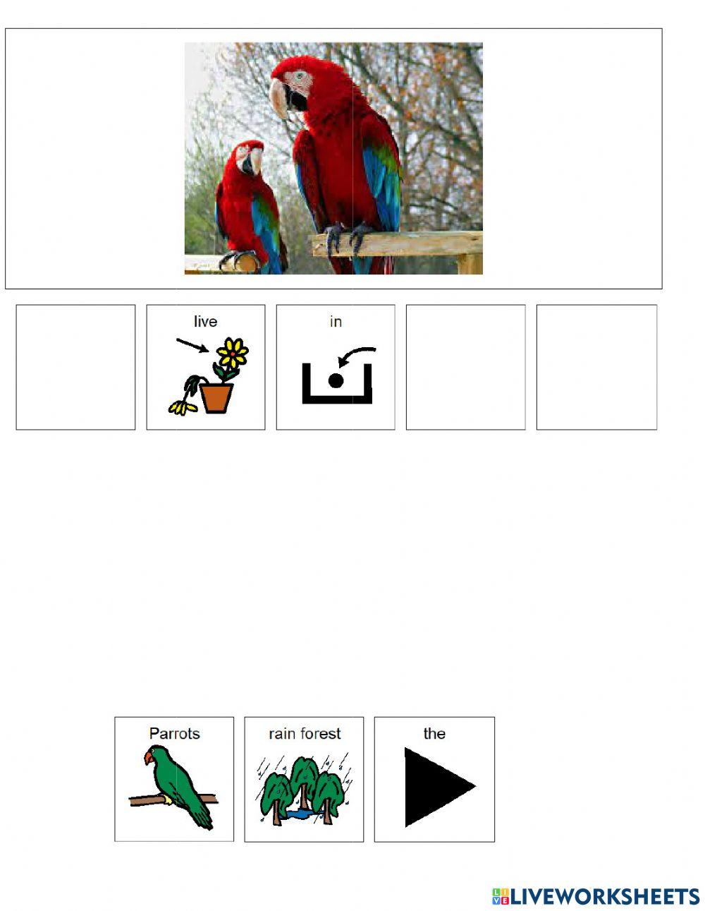 Animal Habitats (Rainforest) Animal Habitats (Rainforest)