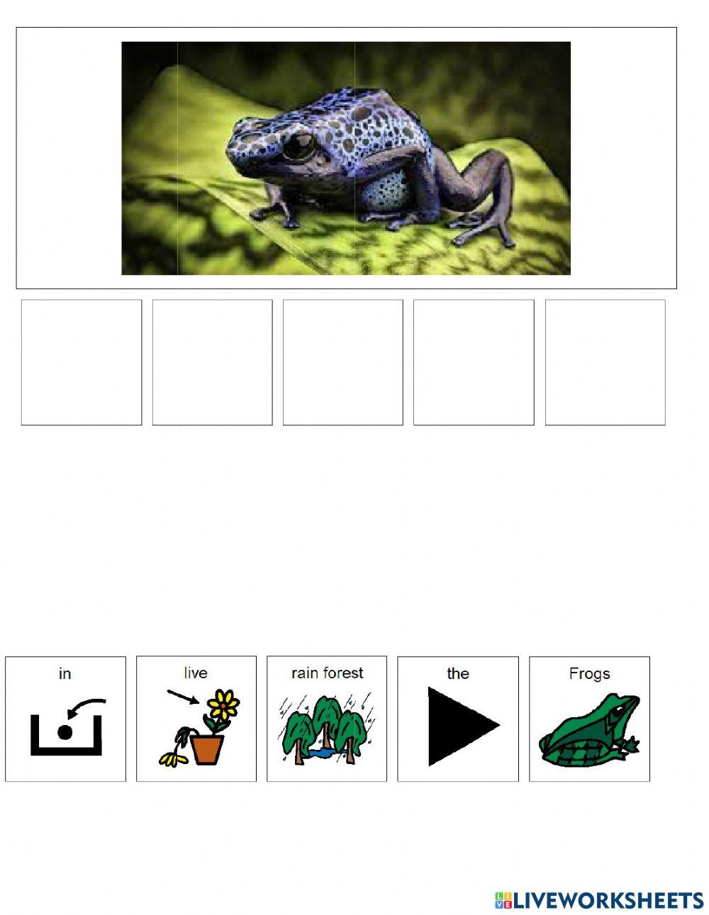 Animal Habitats (Rainforest) Animal Habitats (Rainforest)