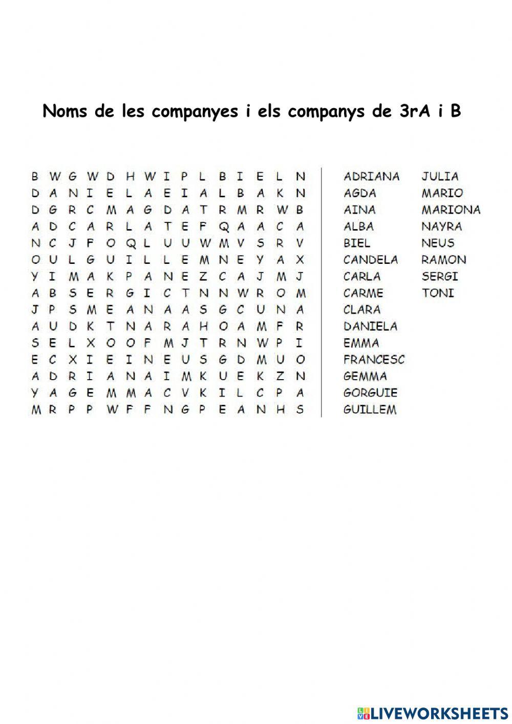 Companyes i companys de tercer