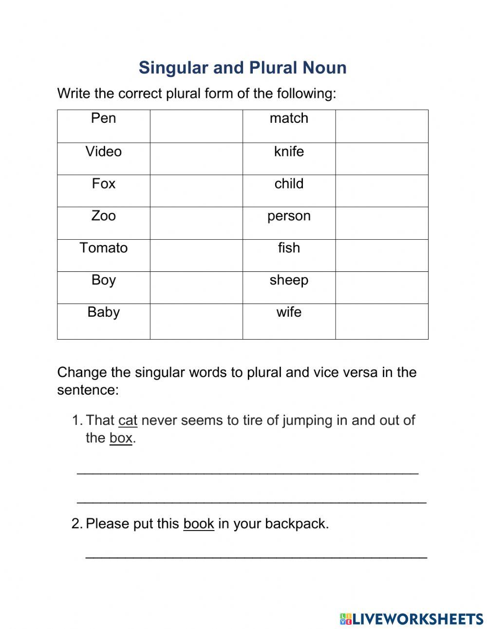 Singular and Plural Noun Revision