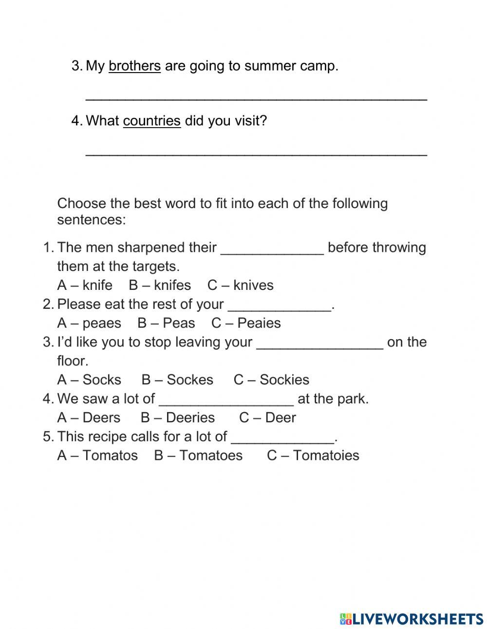 Singular and Plural Noun Revision