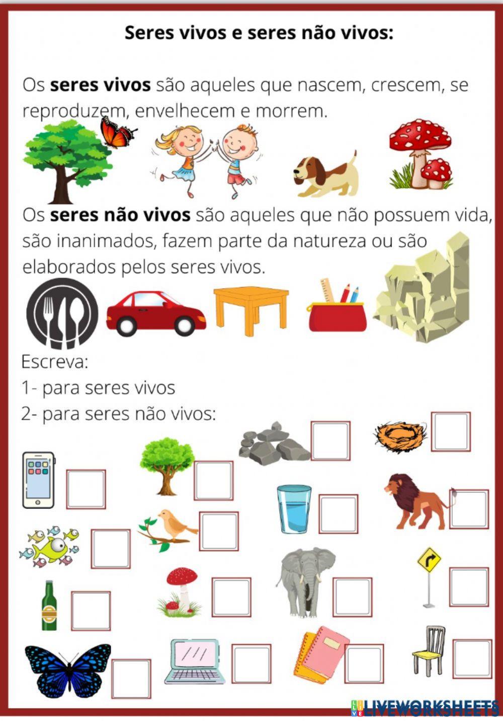 Seres Vivos e não vivo