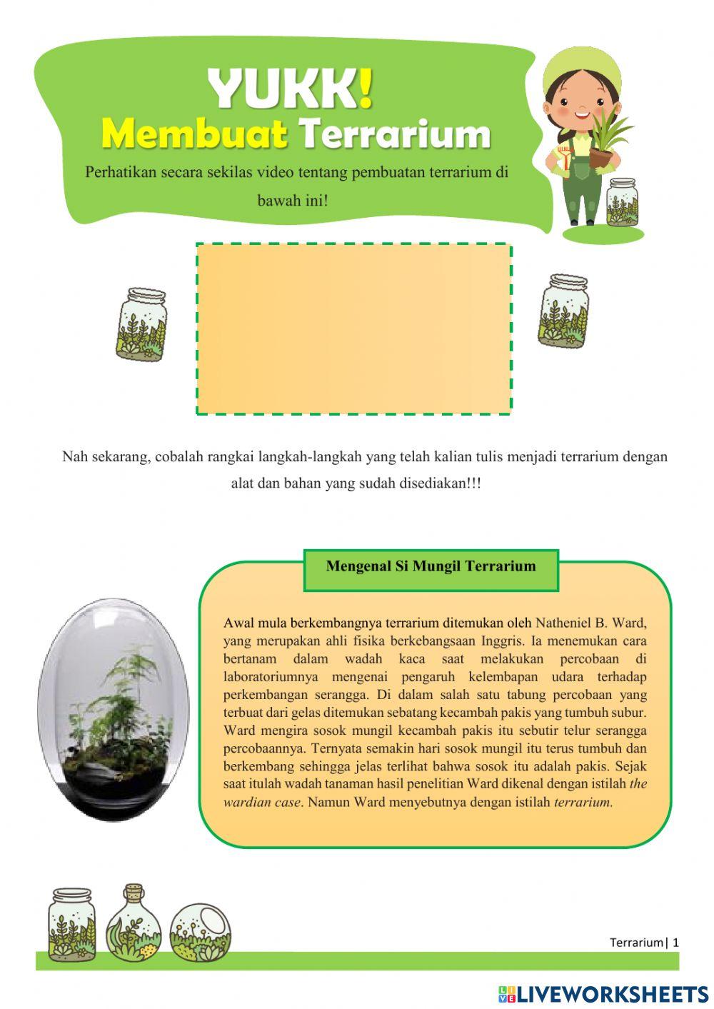 Yuk, Membuat Terrarium