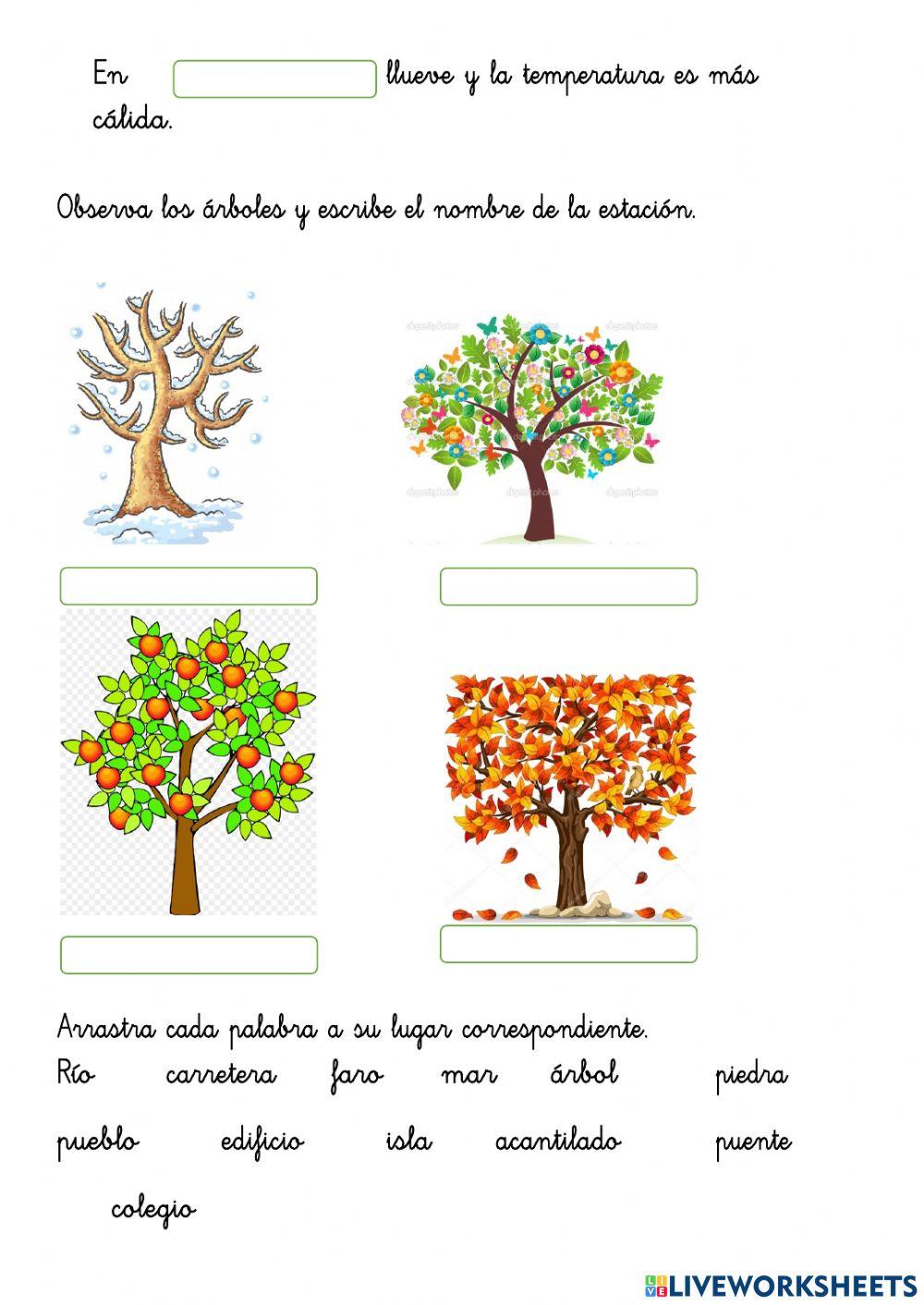 repaso tema 8 cc.ss. 1º