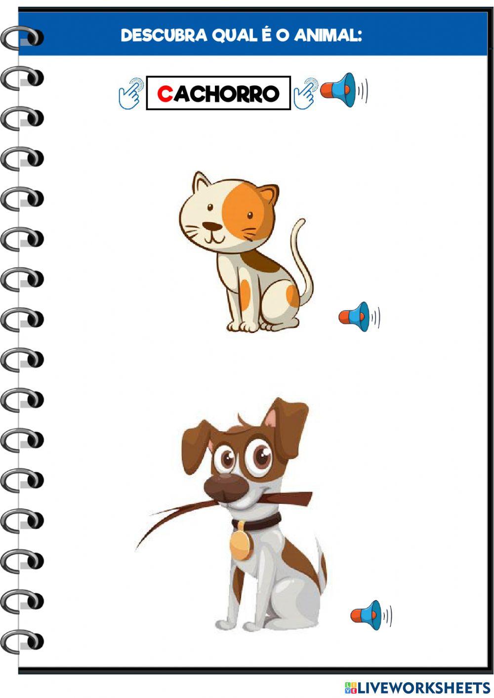 Descubra qual é o animal