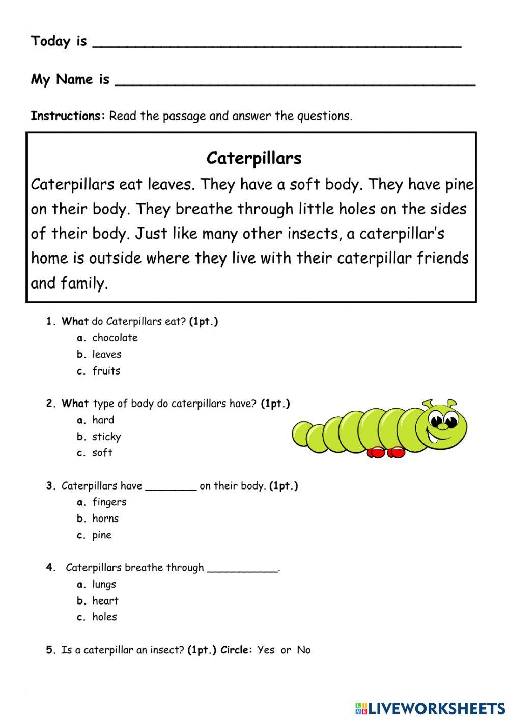 Caterpillars - Reading Comprehension
