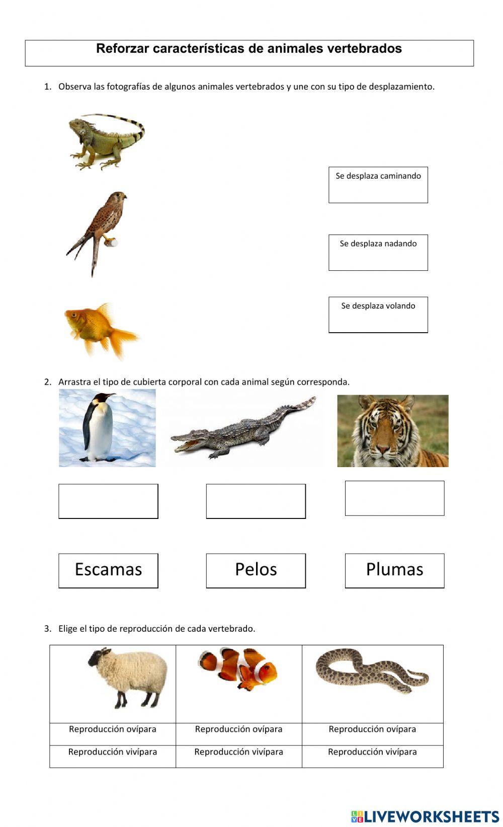 La diversidad de animales