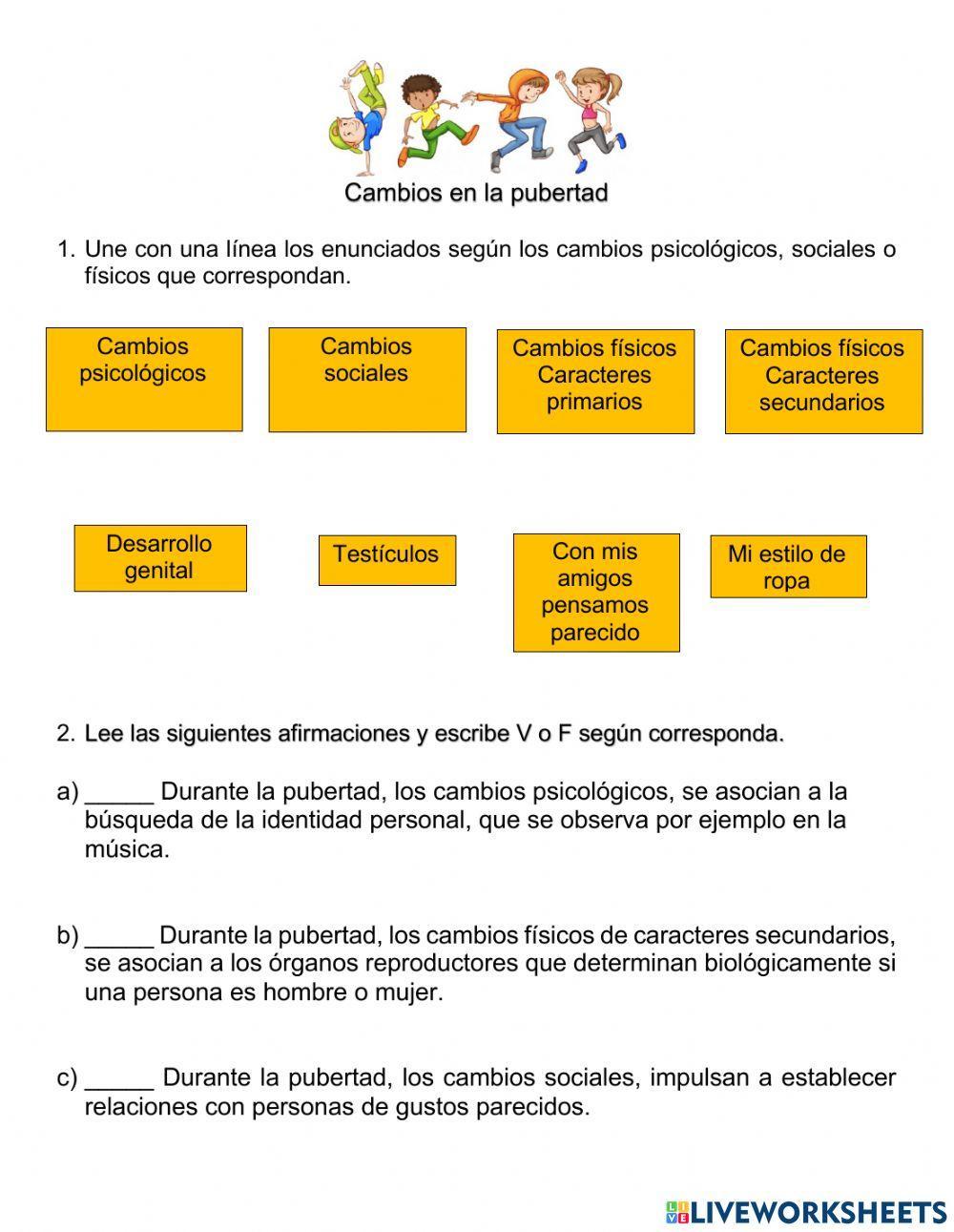 Cambios en la pubertad Cambios en la pubertad