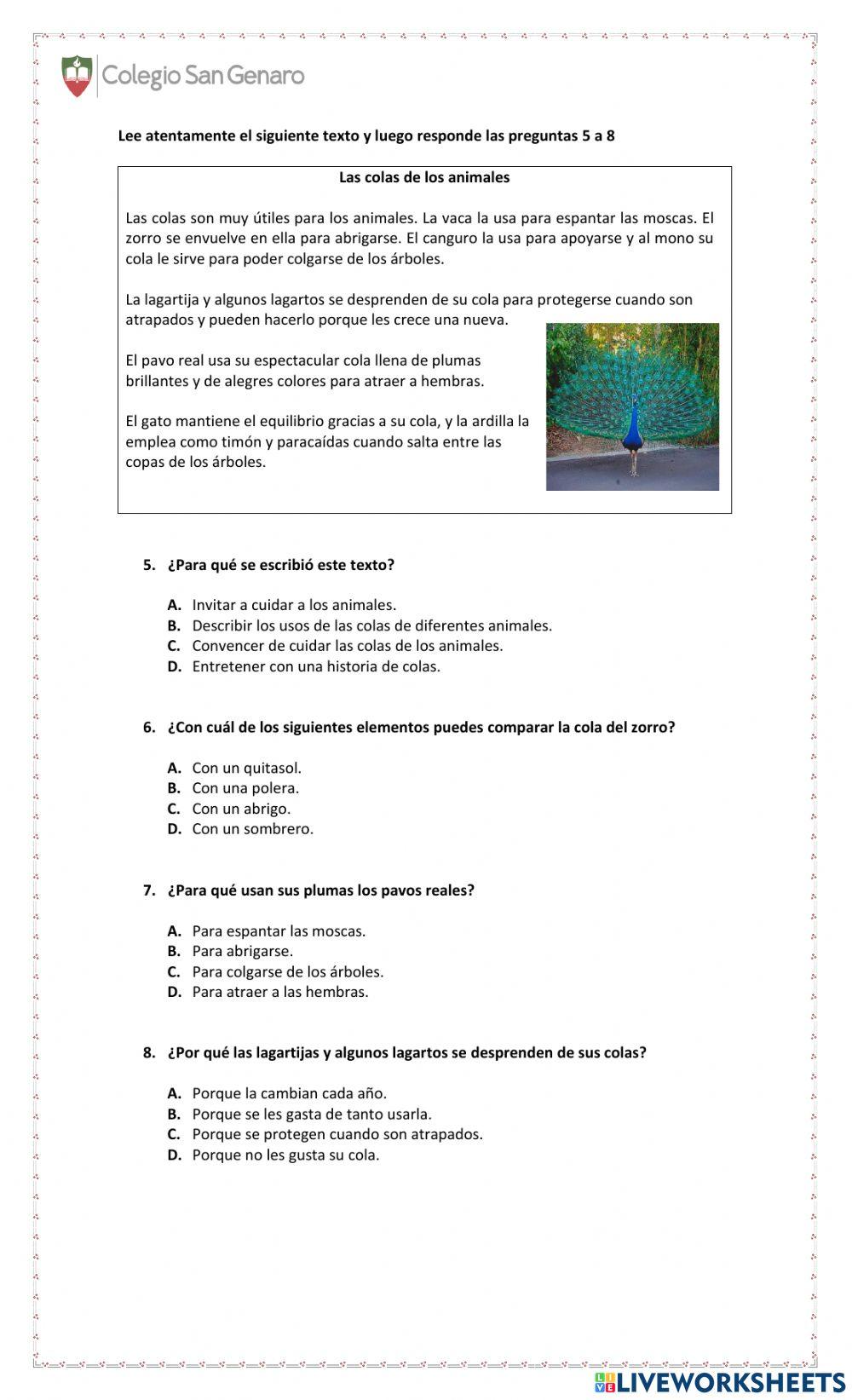 Prueba de comprensión lectora