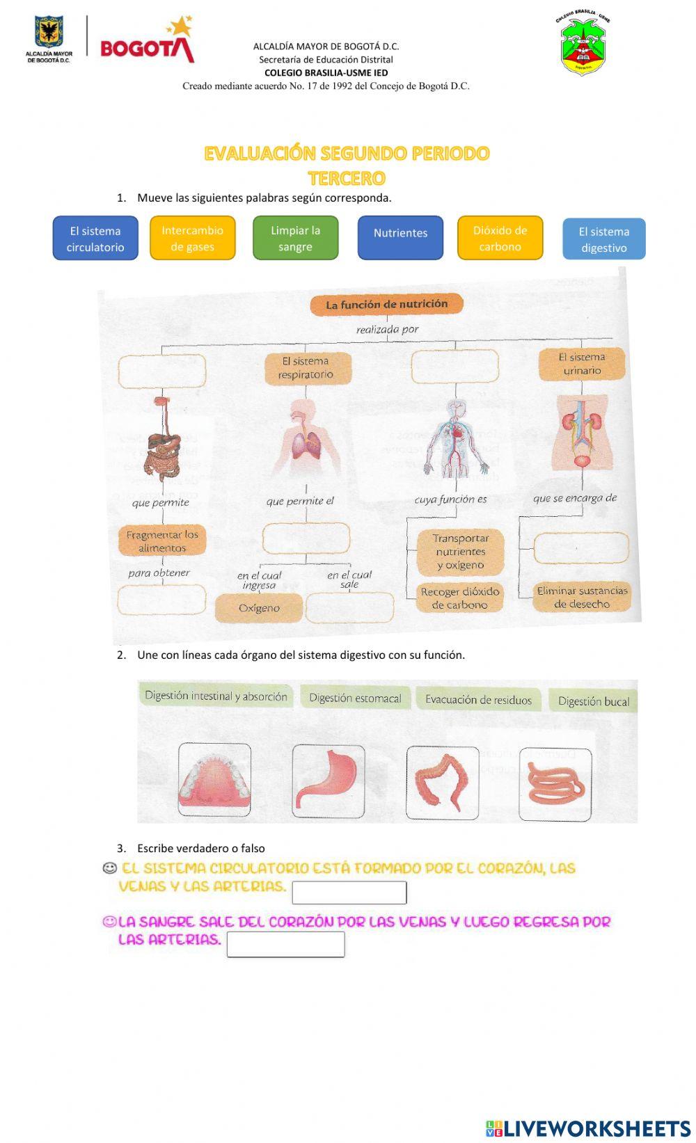 Evaluación grado 3° Ciencias