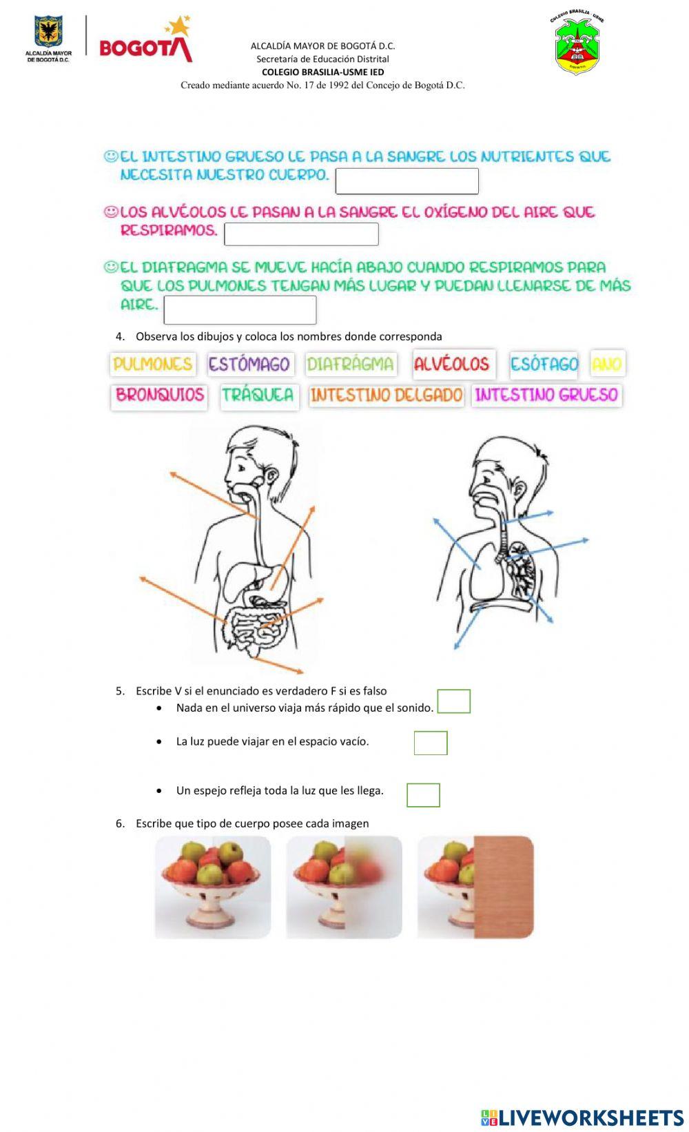 Evaluación grado 3° Ciencias