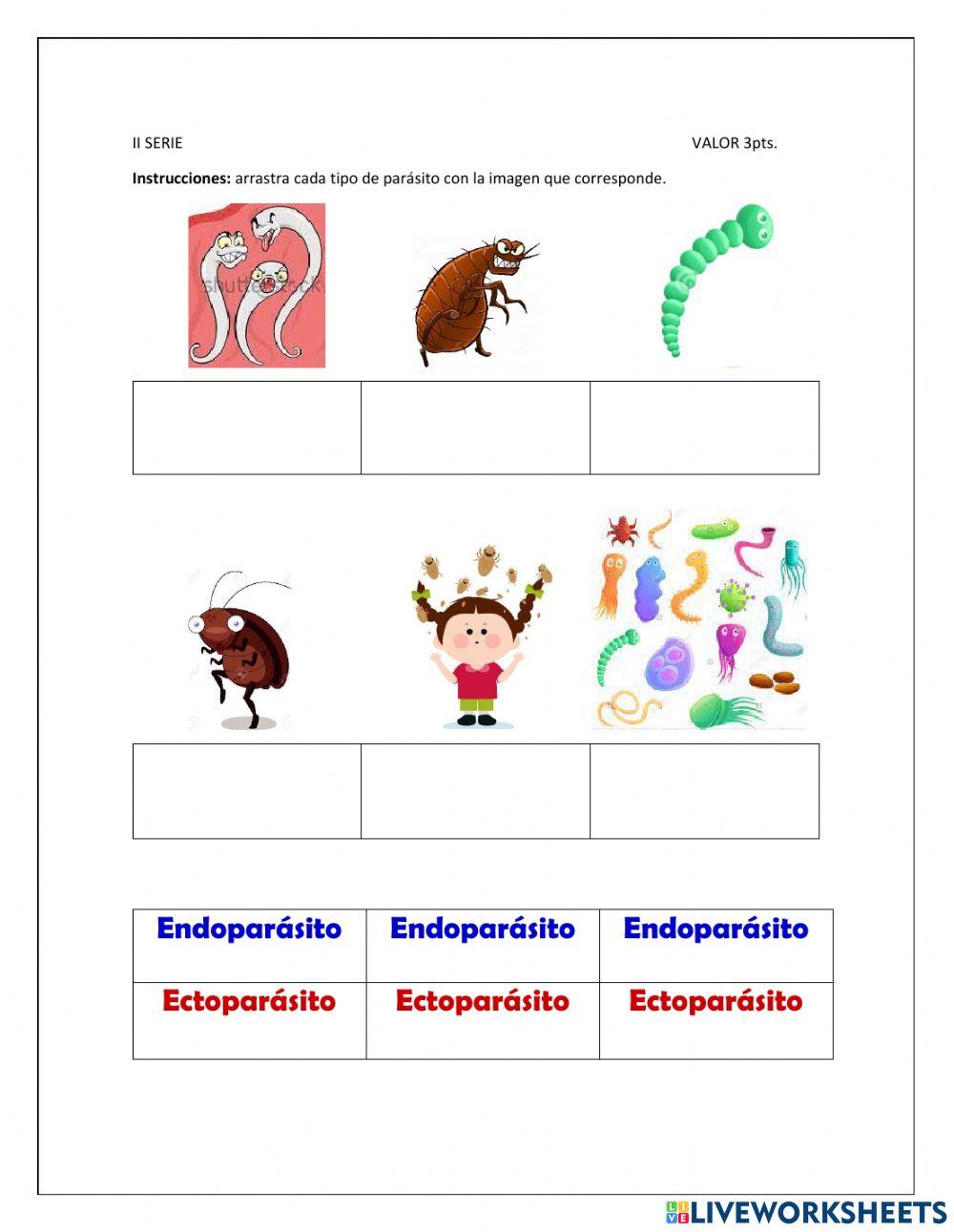 Evaluación II Unidad 4to P. C.N