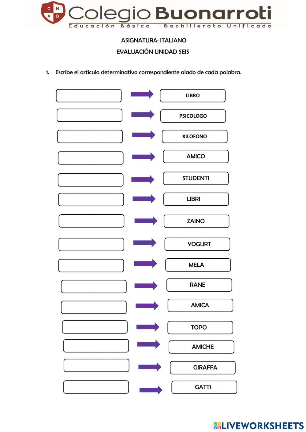 Evaluación UNIDAD 6
