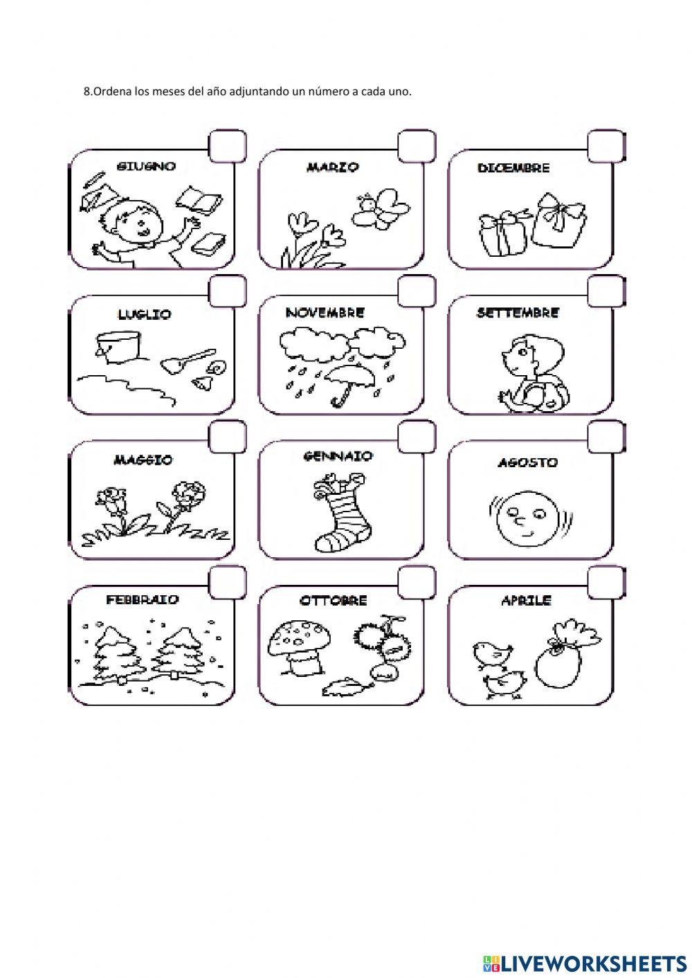 Evaluación UNIDAD 6