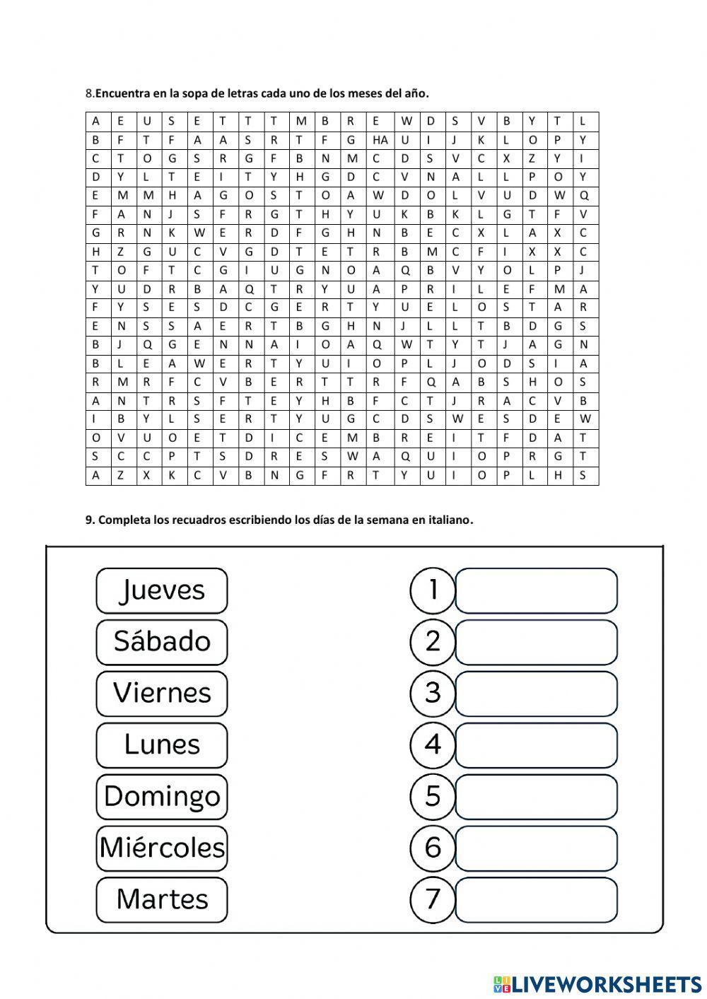 Evaluación UNIDAD 6