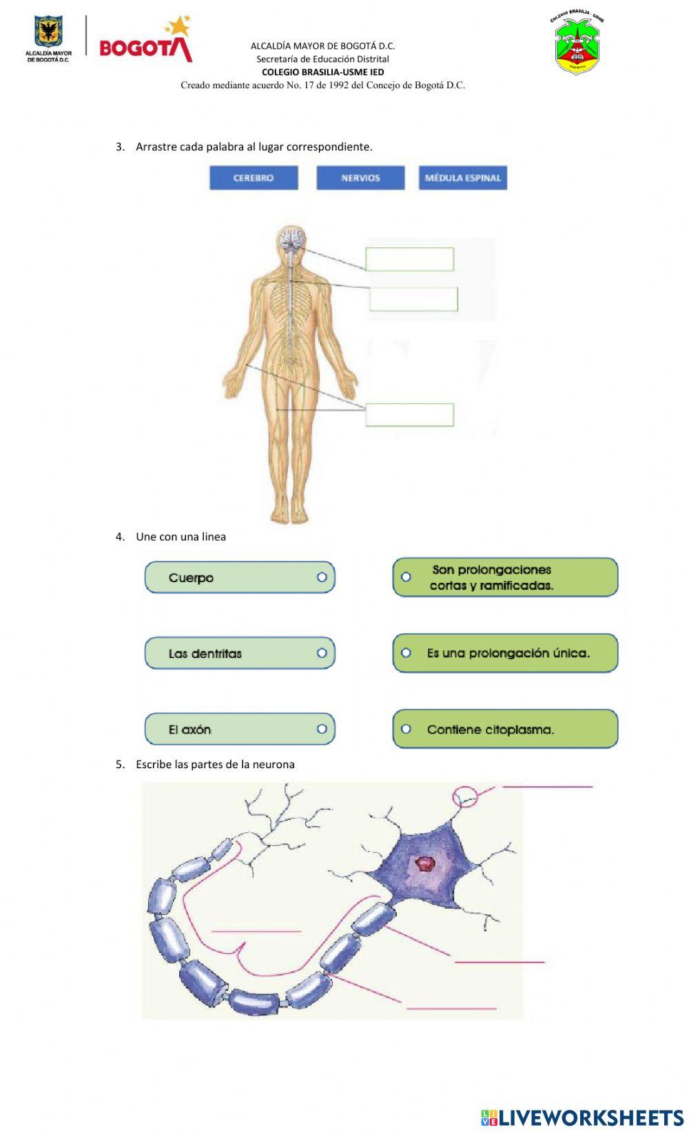 Evaluación grado 5° Ciencias
