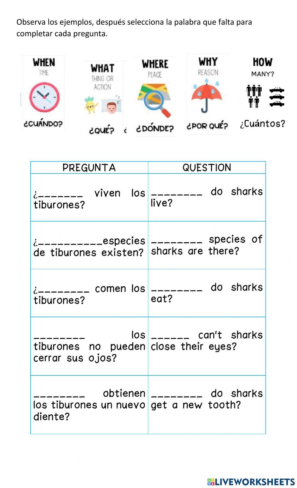 Sharks questions pt1