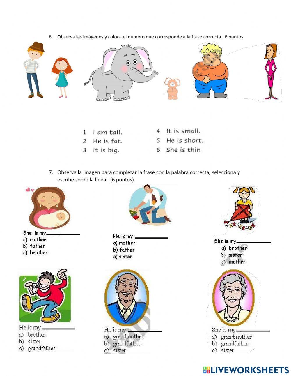 English test second t